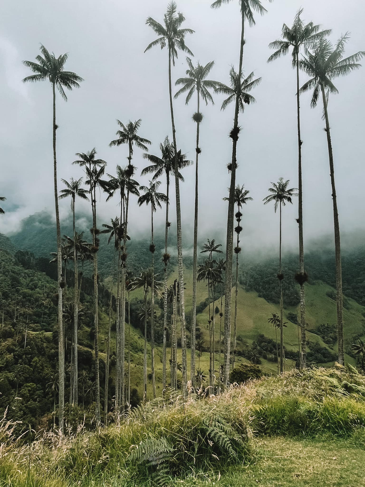 Salento, Colombia