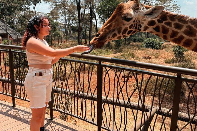 Giraffe Center Nairobi